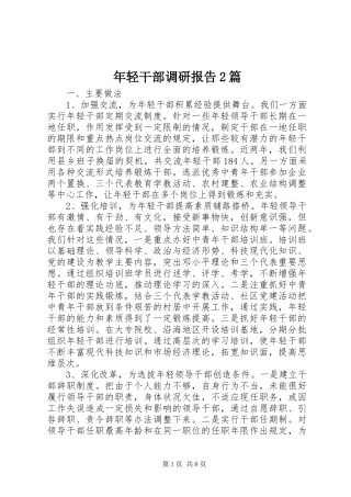 年轻干部调研报告2篇 