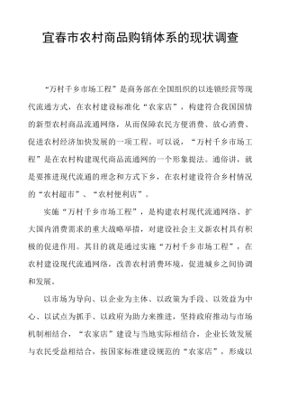 宜春市农村商品购销体系的现状调查写作提纲