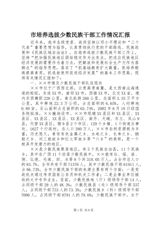 市培养选拔少数民族干部工作情况汇报 