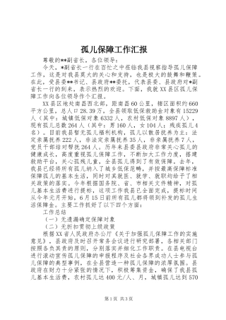 孤儿保障工作汇报 