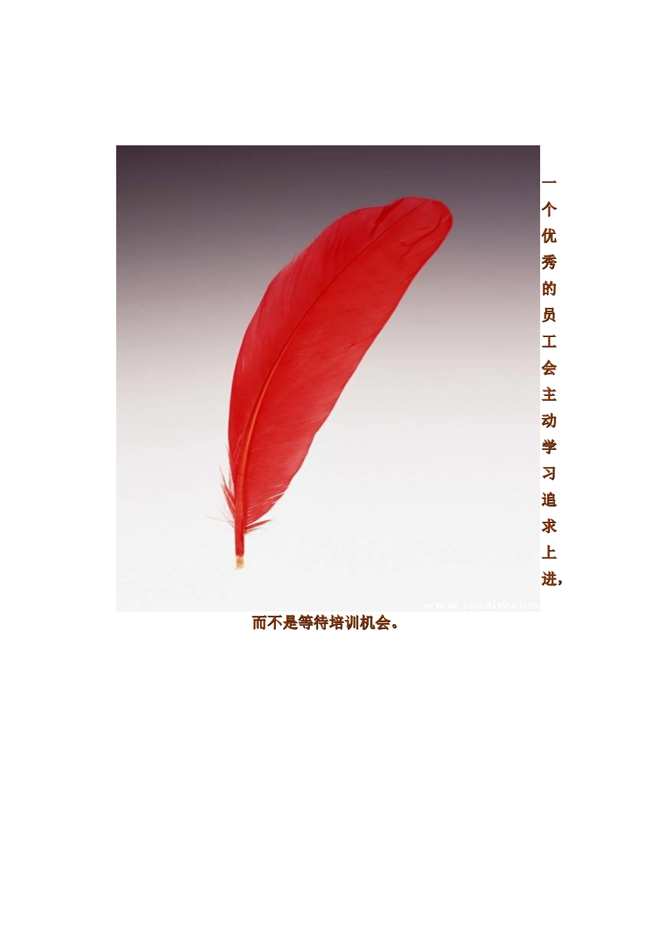 专业医药销售技巧培训手册(北京双鹤药业)_第2页