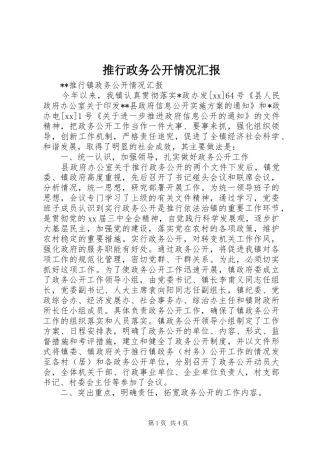 推行政务公开情况汇报 