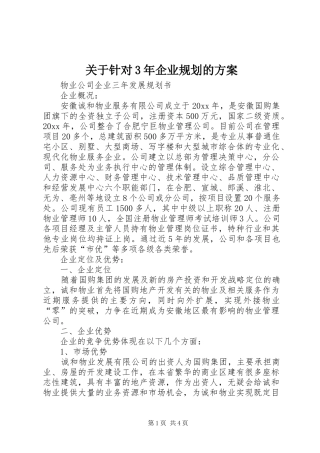 关于针对3年企业规划的方案