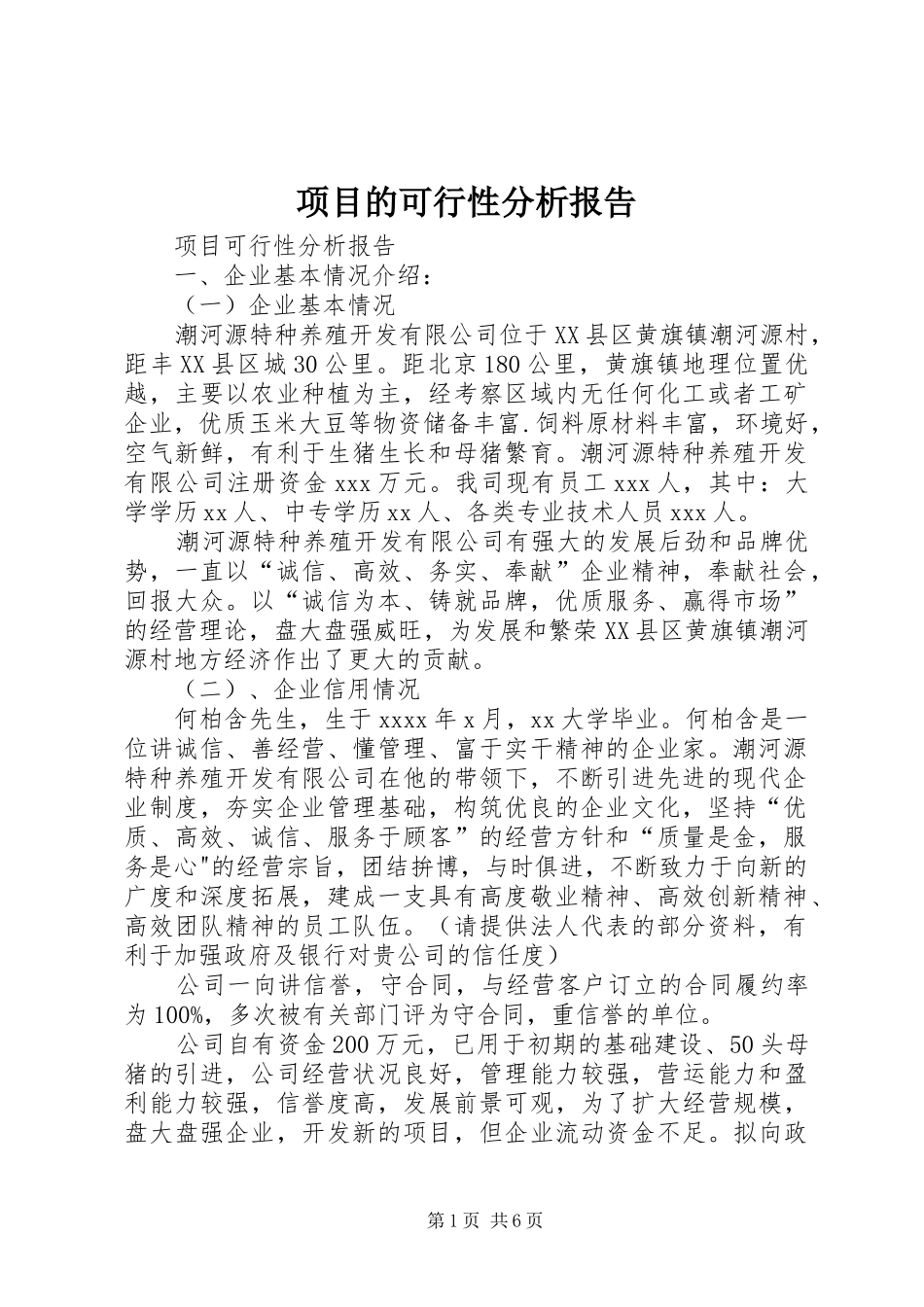 项目的可行性分析报告 _第1页