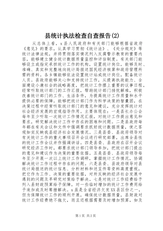 县统计执法检查自查报告