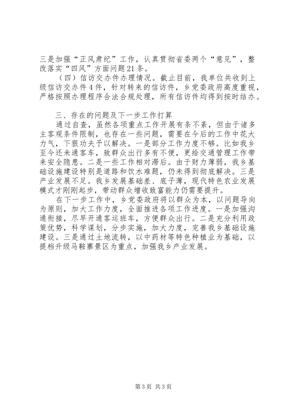 重点工作落实情况自查报告 _第3页