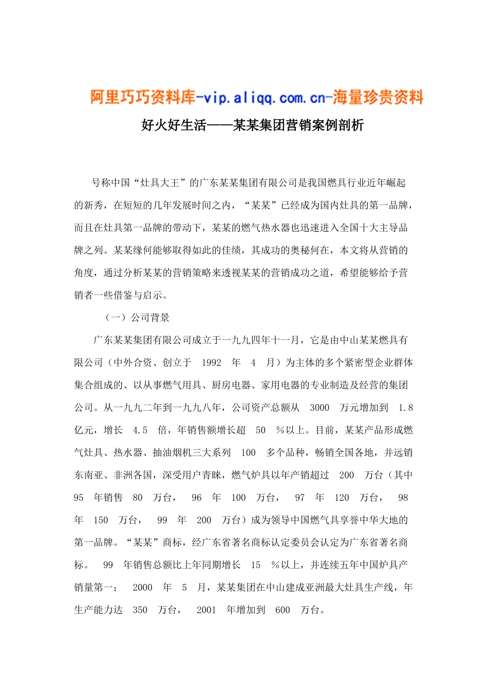 好火好生活——某某集团营销案例剖析9_第1页