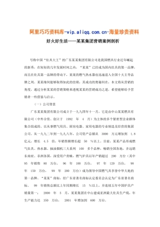 好火好生活——某某集团营销案例剖析9