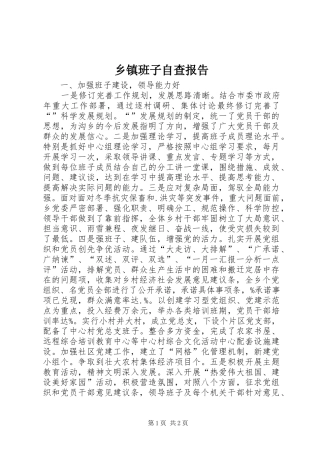 乡镇班子自查报告1 