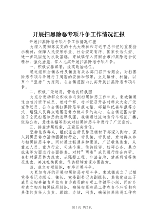 开展扫黑除恶专项斗争工作情况汇报 