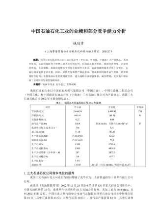 中国石油石化工业的业绩和部分竞争能力分析