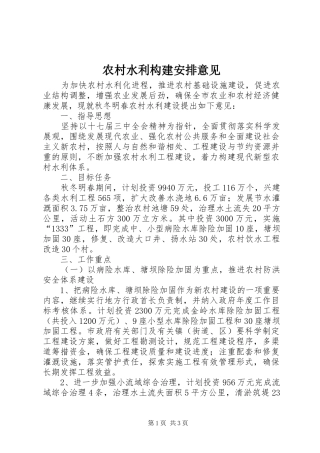 农村水利构建安排意见