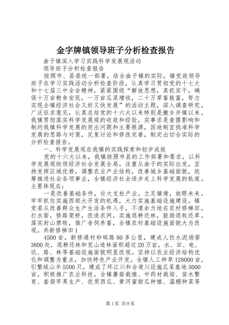 金字牌镇领导班子分析检查报告 _第1页