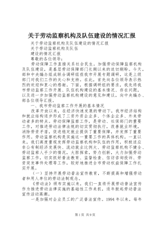 关于劳动监察机构及队伍建设的情况汇报 