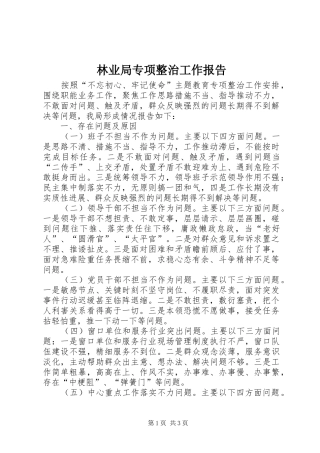 林业局专项整治工作报告 