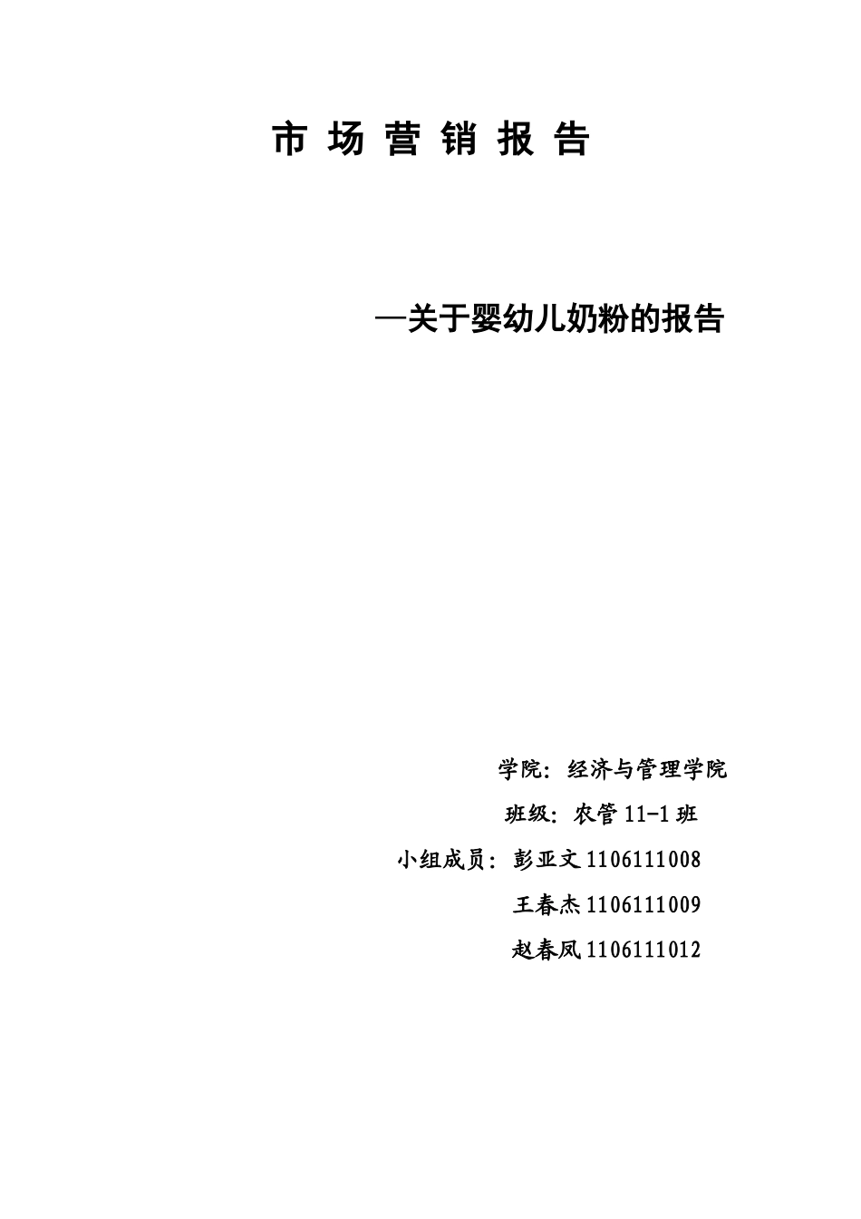 市场营销报告_第2页