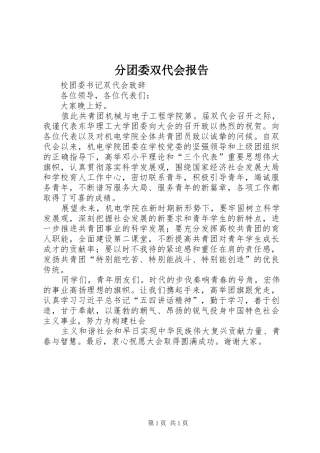 分团委双代会报告 