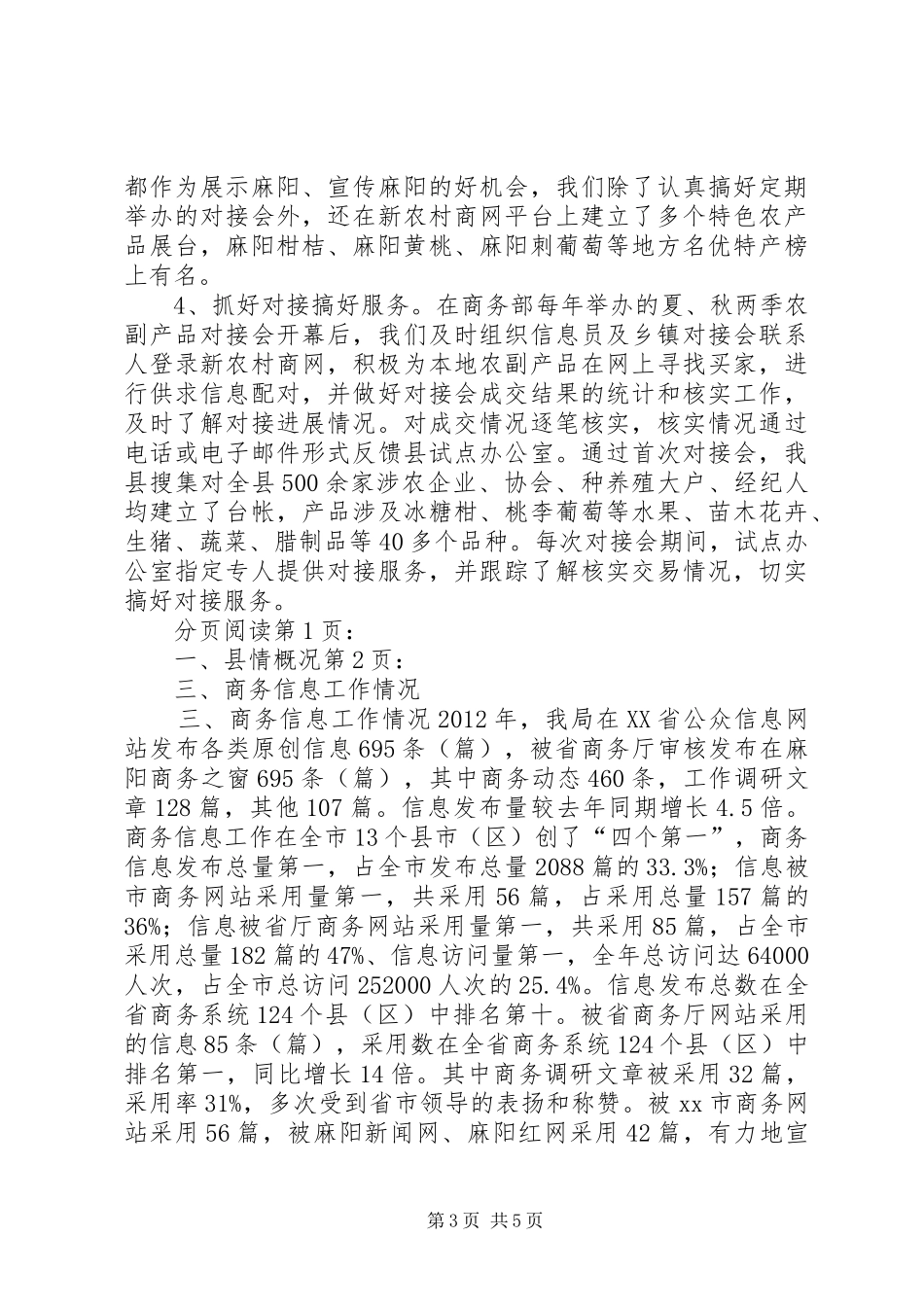 县商务信息化工作情况汇报 _第3页