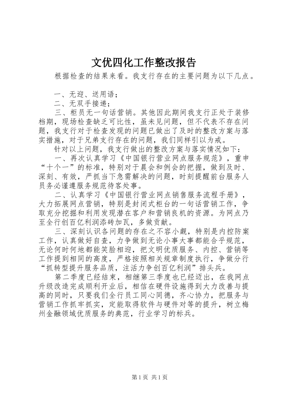 文优四化工作整改报告 _第1页