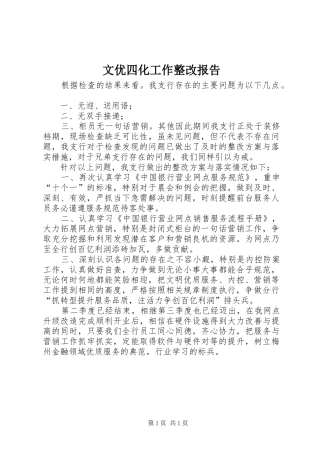 文优四化工作整改报告 
