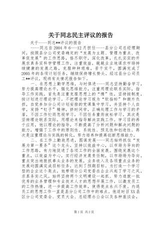 关于同志民主评议的报告 