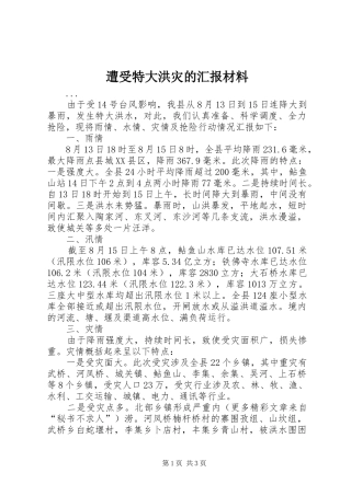 遭受特大洪灾的汇报材料 