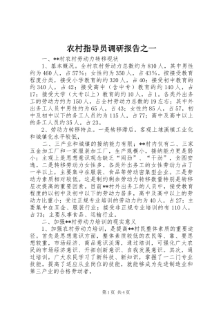 农村指导员调研报告之一 