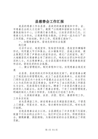 县慈善会工作汇报 