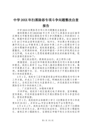 中学20XX年扫黑除恶专项斗争问题整改自查报告