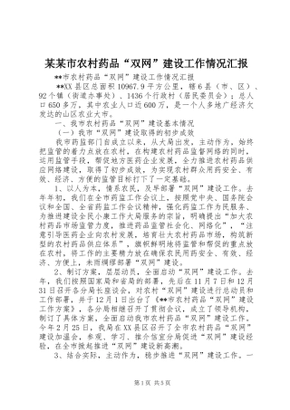 某某市农村药品“双网”建设工作情况汇报 