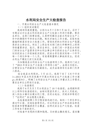 水利局安全生产大检查报告 