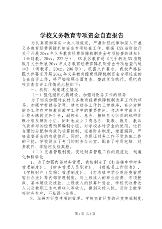 学校义务教育专项资金自查报告 