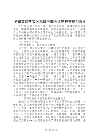 乡镇贯彻落实区三级干部会议精神情况汇报6 