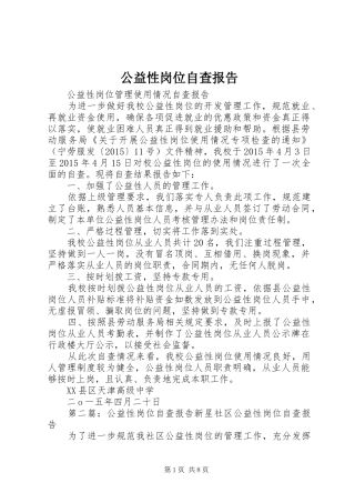 公益性岗位自查报告 