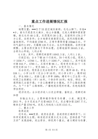 重点工作进展情况汇报 