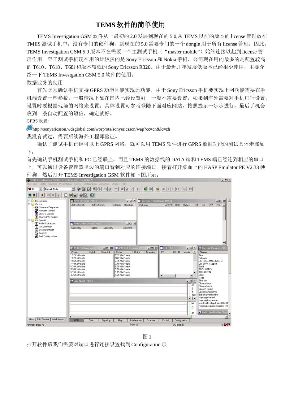 TEMS软件GPRS数据业务的使用_第1页