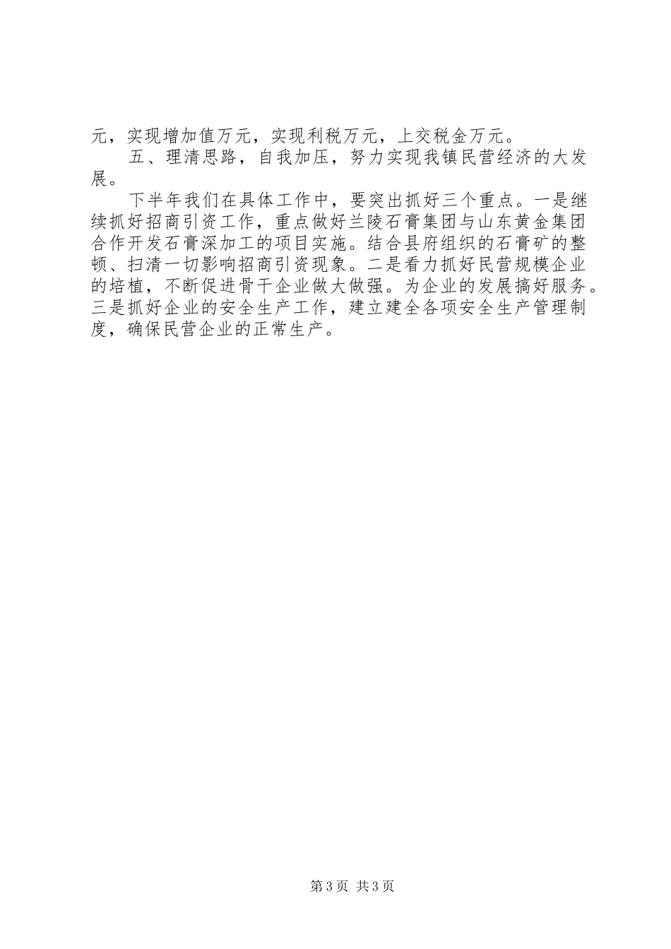某镇二○○四年民营经济基本情况汇报材料 _第3页