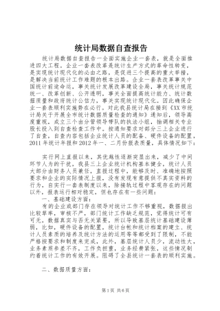 统计局数据自查报告 