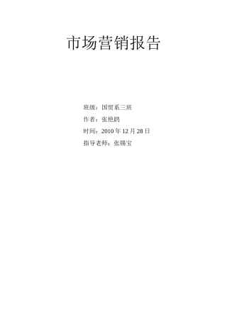 市场营销报告9812520191