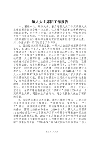 镇人大主席团工作报告 