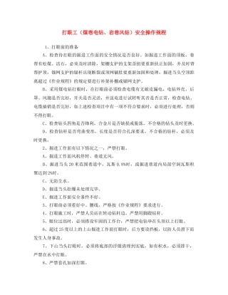 《安全操作规程》之打眼工（煤巷电钻、岩巷风钻）安全操作规程 