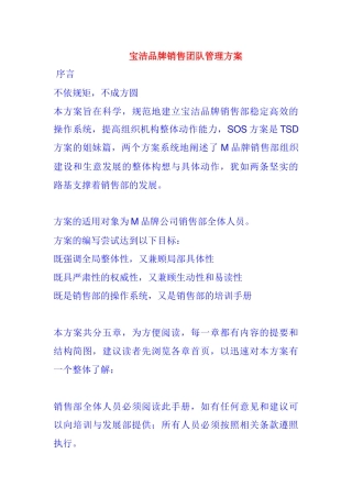 宝洁销售团队管理方案