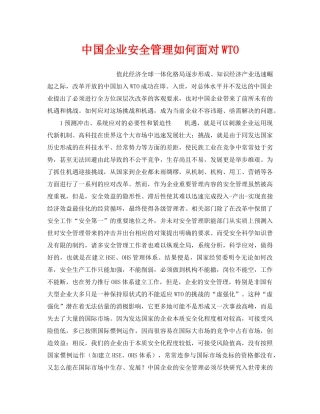 《安全管理》之中国企业安全管理如何面对WTO 