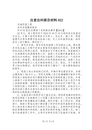 自查自纠报告材料822 