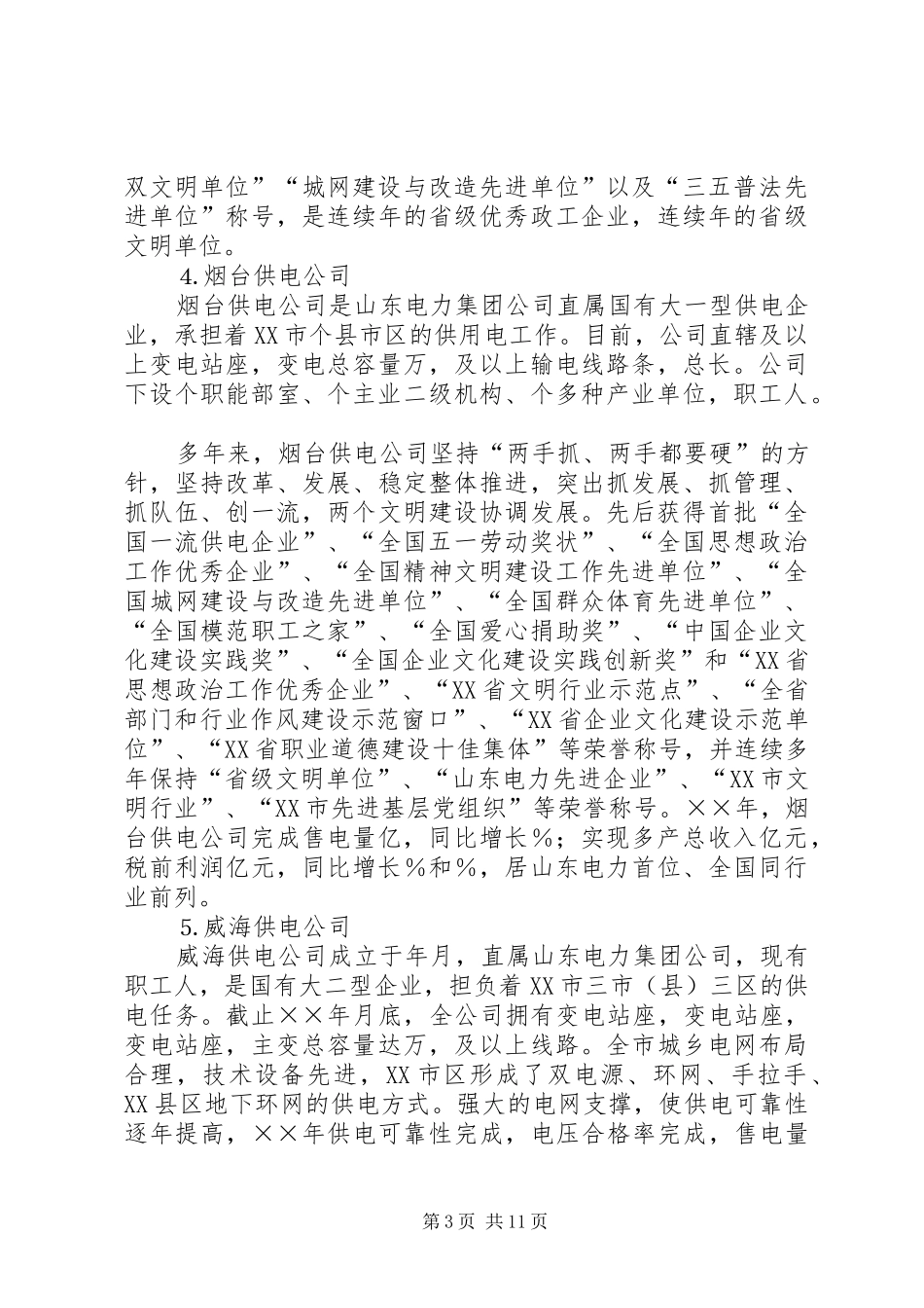 山东电力集团公司考察报告 _第3页