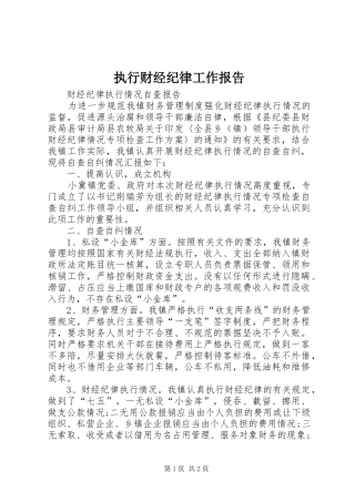 执行财经纪律工作报告 