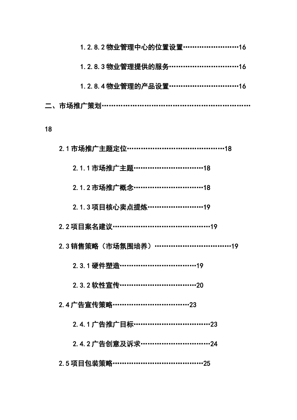 XX总体营销策划_第2页