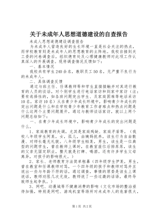 关于未成年人思想道德建设的自查报告 