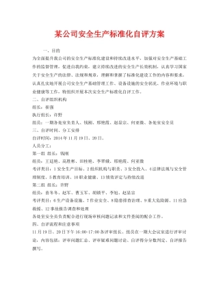 《安全管理文档》之某公司安全生产标准化自评方案 