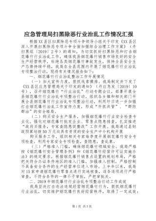 应急管理局扫黑除恶行业治乱工作情况汇报 